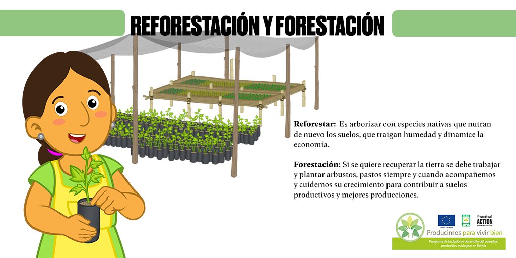 ProdEcologicBol's tweet photo. ¿Conoces la diferencia entre forestación y reforestar?
#AOPEB te enseña sus diferencias y la importancia que tienen para nuestros suelos. 🌱🌳
#COVID19 #Producimos_Para_Vivir_Bien #UE #Practical_Action #Producción_Ecológica https://t.co/3jmtoEIcTd