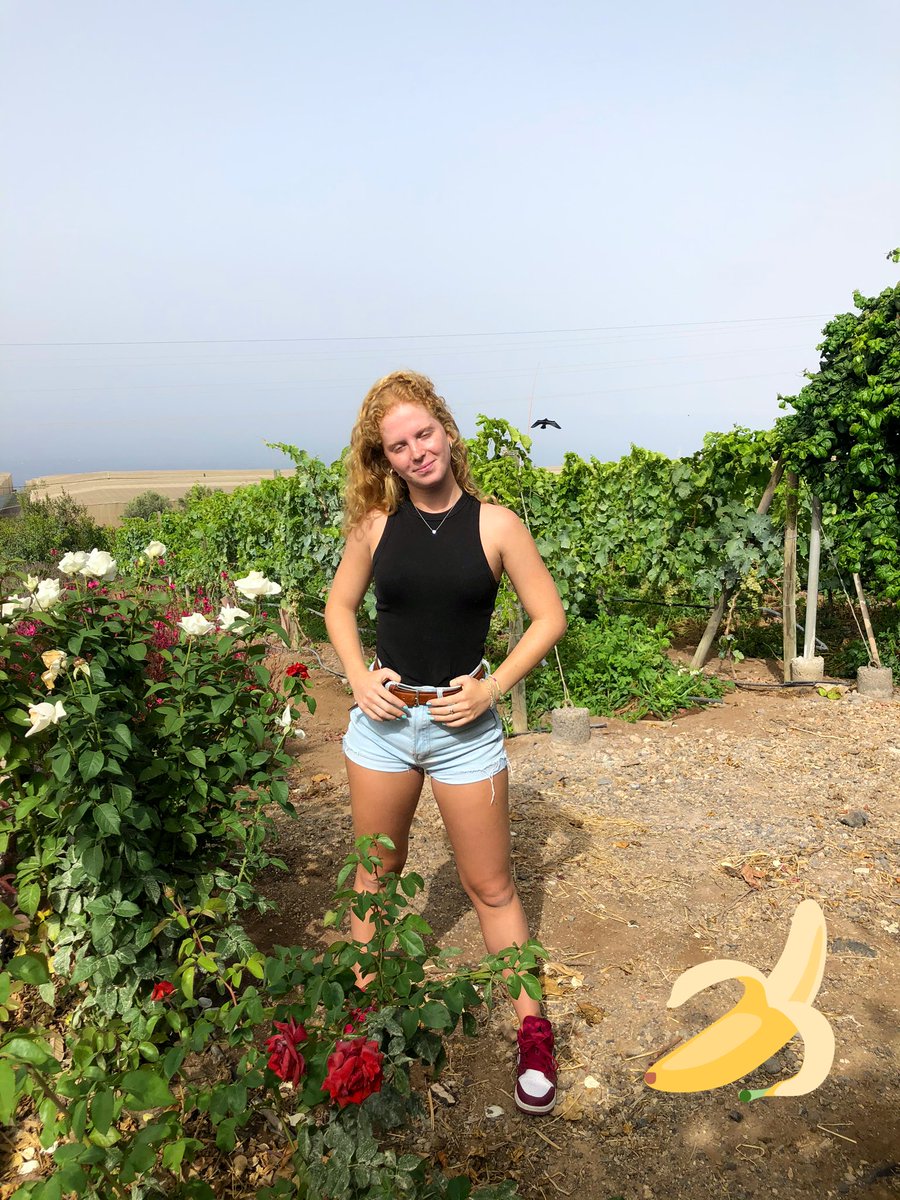 JohnBeckley's tweet photo. From our @GabriellaBecks visit to @LaCalabacera #finca #ecologicalfarm @LaCalabacera https://t.co/D5LdxpCyFq
