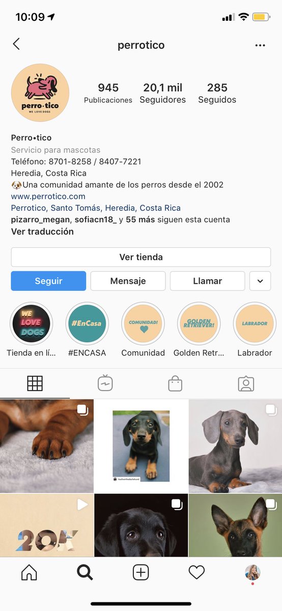 POR FAVOR no compren en Perrotico, ellos compran camadas a un bajo precio sin importarle si los papás están enfermos, si supieran de la cantidad de perritos que han entregado enfermos😭Lamentablemente tienen más de 20 mil seguidores, por solo tomar fotos lindas