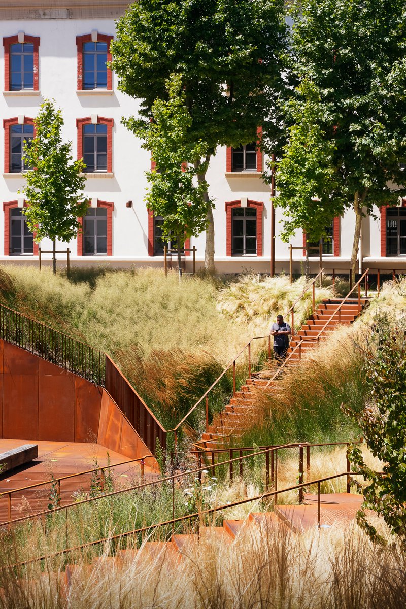 Détails du jardin🌱un an après la livraison, retour sur le site de la caserne Lourcine qui accueille l'université de Droit Paris 1 Panthéon Sorbonne…. 📷 <a href="/camille_gharbi/">Camille Gharbi</a> #teamarchi #chartierdalix #paris13