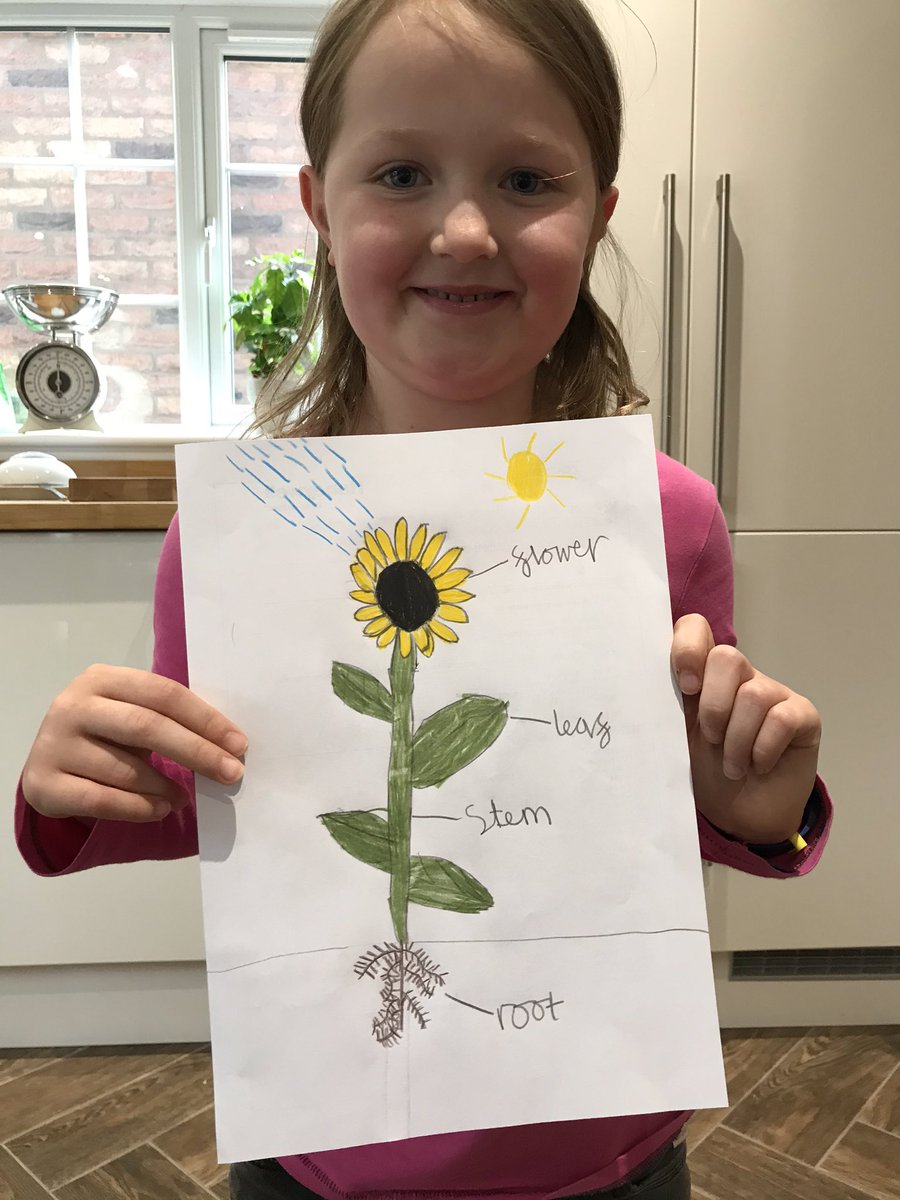 angehol's tweet photo. @CrodaSTEM Started working on the activity book today π. Annie and Imogen have some pictures to show you! #CrodaActivityBooklet #STEMathome https://t.co/EGy2S7SRZj