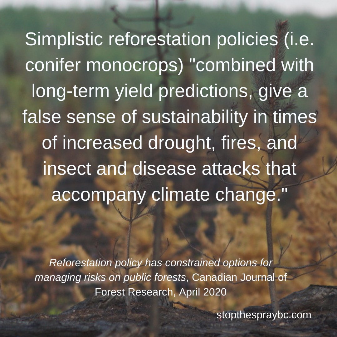 stopthespraybc's tweet photo. The smart money is on what these scientists are saying. #forestproud #ittakesaforest #stopthespraybc #glyphosate https://t.co/KBCB5gtkJ8 https://t.co/0005Qbg7RG