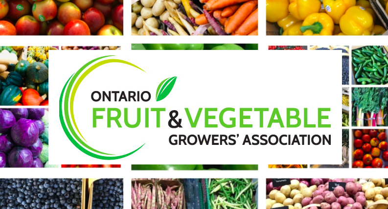 OntFruitVeg's tweet photo. We are Working for You - Stay up to date with OFVGA Newsletter July 2020 https://t.co/fsc4rh9sN5 https://t.co/DC4u2mVLkw
