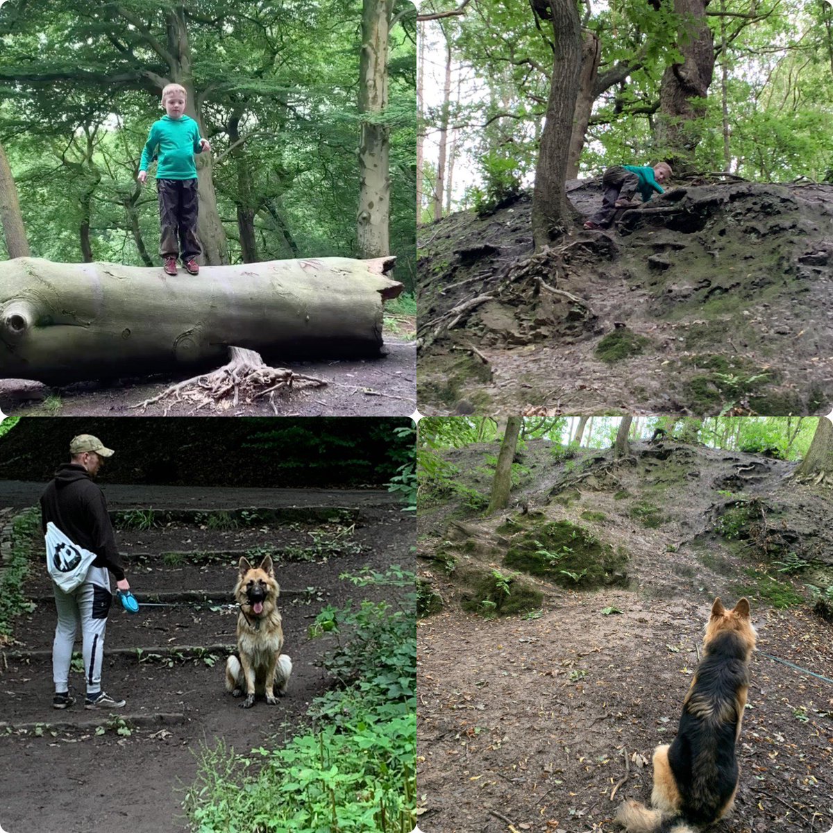 LauraPlatt9's tweet photo. @Class2Aspull @AspullChurchSch We have been out for our family walk this afternoon, roughly 3 miles. We can’t go far because Kai has to climb up every muddy hill he sees 😂🥰#SportingChallenge #AspullChurchSchool https://t.co/G3PQD980fv