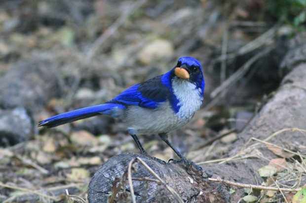 IslandKayaking.com tweet media