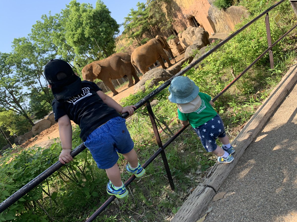 遠藤裕哉 Yuu212noa Twitter