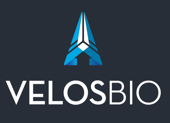 LlcPagan's tweet photo. Oncology Therapeutics Company VelosBio Rakes $137 Million in Series B Financing- https://t.co/W3QlBq3a1v 

#Biotech #therapeutics #oncology https://t.co/KbLxdApfcr