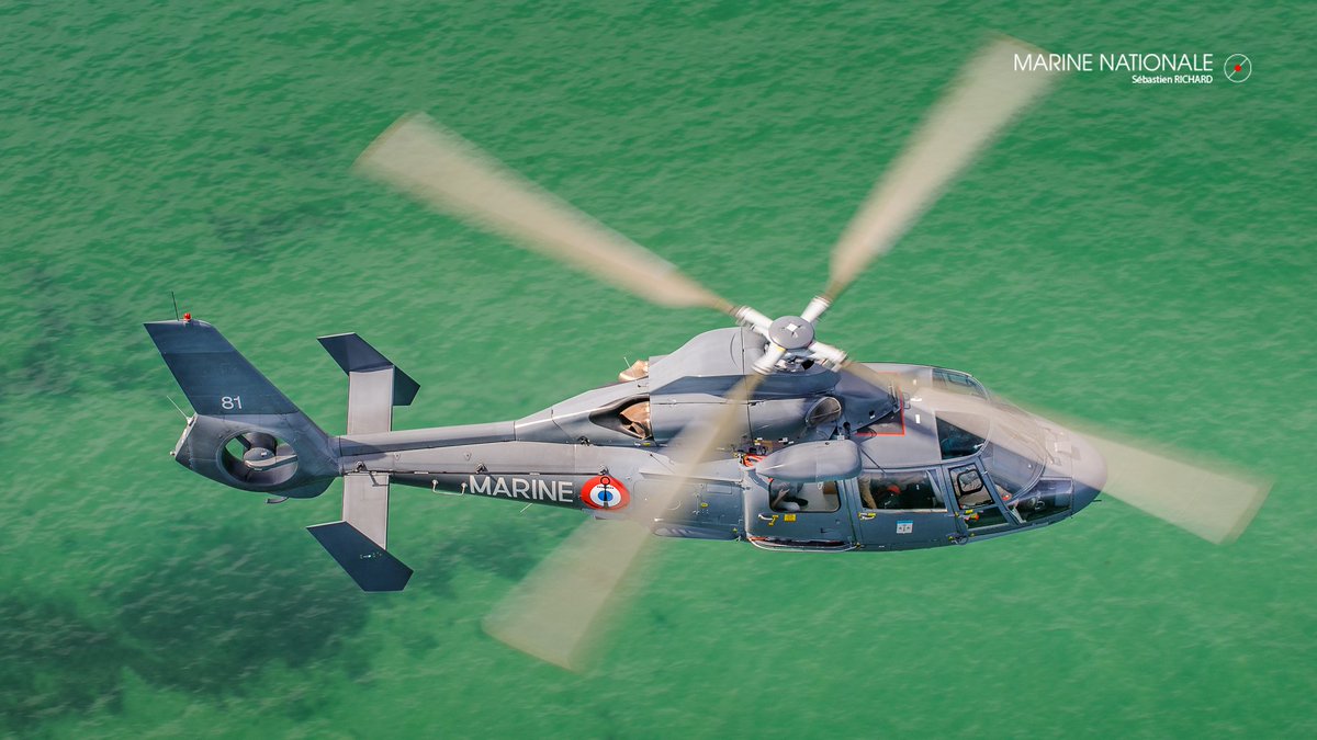 premar_ceclant's tweet photo. [#Focus] Les #hélicoptères sont au cœur des opérations de recherche et de sauvetage en mer menées par les différents acteurs du secours maritime en #Atlantique.

Ecureuil @Gendarmerie, Dragon @SecCivileFrance, Caracal @Armee_de_lair, Dauphin et Caïman @MarineNationale https://t.co/8oSLLSKRoU