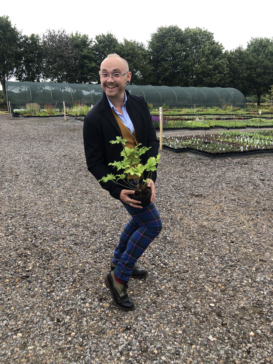Rosyhardy62's tweet photo. We had a visitor today @kenny_raybould here he is with his Anemone Frilly Knickers @RobHardyPlants #plants #funnames https://t.co/c0h6kQkeTh