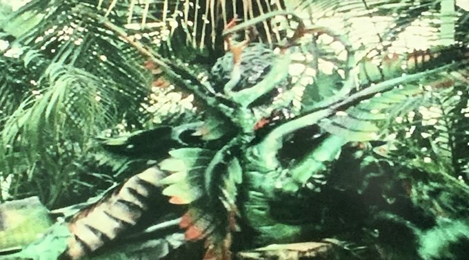 キバ 高画質 のtwitterイラスト検索結果 古い順