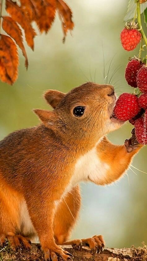 Cute..😍💖