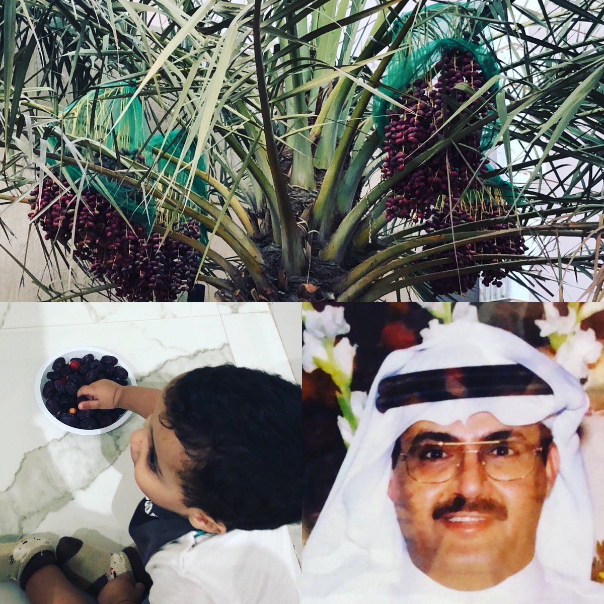 مبارك شبيب العجمي tweet media