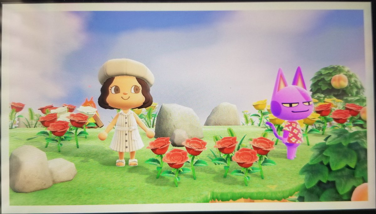 StarryStrawtemp's tweet photo. I met Bob (ticket #2) and Judy (ticket #27) while villager hunting this morning ๐ฑ๐ฑ #ACNH #AnimalCrossing #AnimalCrossingNewHorizons #BobACNH #BobAC #JudyACNH #JudyAC https://t.co/ZQrtvOQIVi