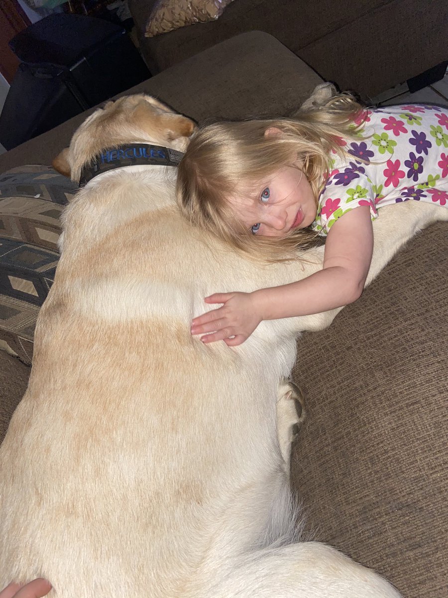 Hercules11319's tweet photo. Sometimes human hugs is the best hugs! https://t.co/KWsry58zuk