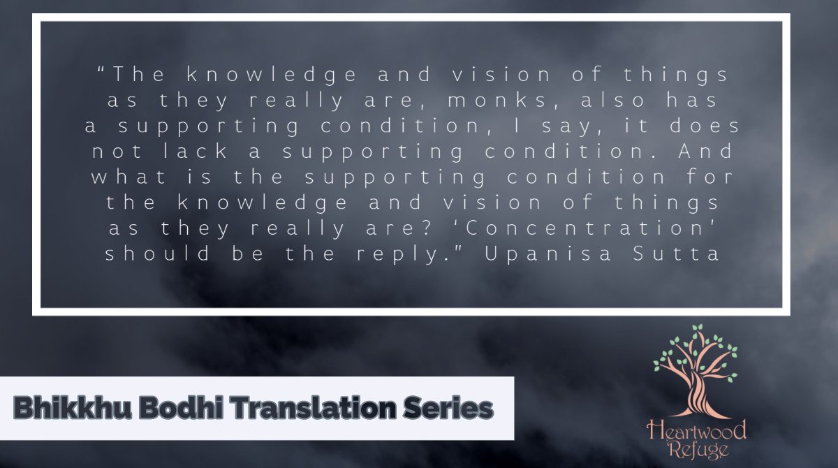 Heartwood Refuge & Academy (@heartwoodrefuge) on Twitter photo Part of the #BhikkhuBodhi translation series and in appreciation for his upcoming #retreat The Four Protective Meditations at <a href="/HeartwoodRefuge/">Heartwood Refuge & Academy</a>
Register here: bit.ly/3iKthMT // Scholarship Eligible
#OnlineRetreat #MeditationRetreat #Meditation #Buddhism Part of the #BhikkhuBodhi translation series and in appreciation for his upcoming #retreat The Four Protective Meditations at <a href="/HeartwoodRefuge/">Heartwood Refuge & Academy</a>
Register here: bit.ly/3iKthMT // Scholarship Eligible
#OnlineRetreat #MeditationRetreat #Meditation #Buddhism