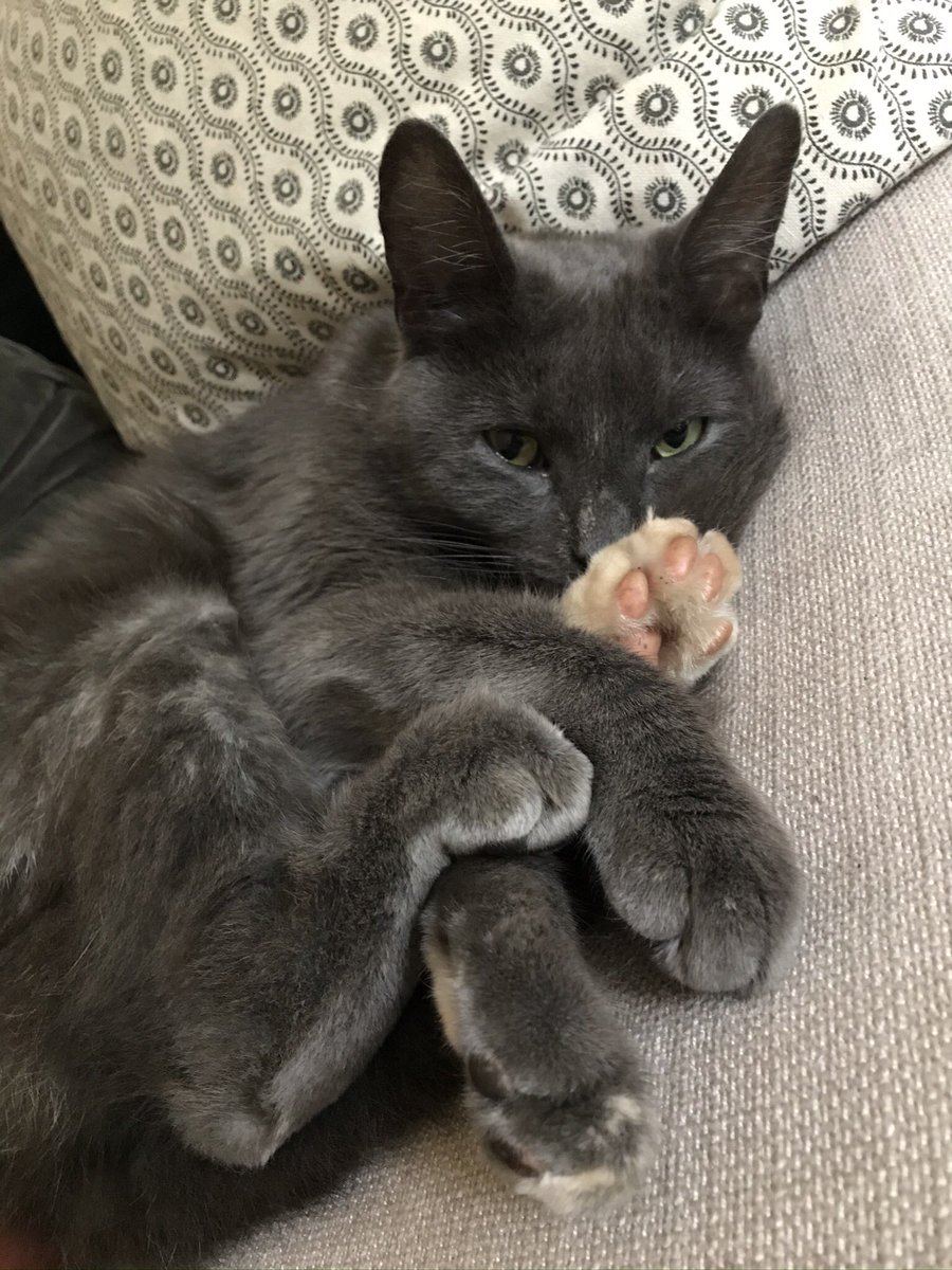 Rosie ‘I’m just so pretty’ tweet media