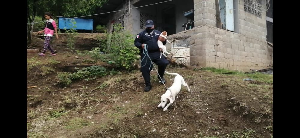 Policía Nacional tweet media
