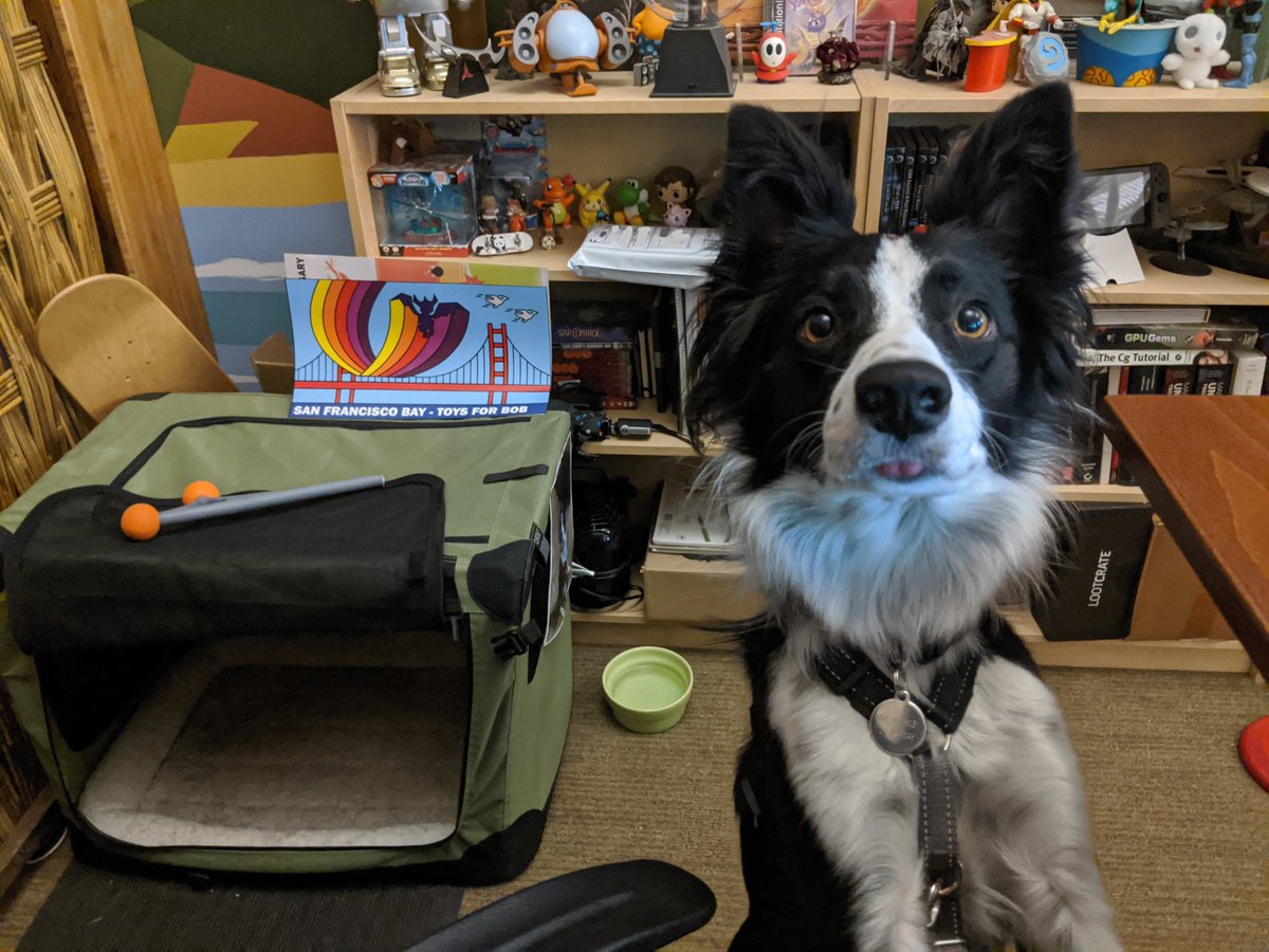 ToysForBob's tweet photo. Meet Solvi! An adjunct member of the #VFX team, Solvi truly lives to "go". Her zest for adventure inspires Aaron and her coworkers to take a break and stretch those walking muscles. Solvi is an absolute sweetheart ❤️ #LifeAtTFB #devdogs https://t.co/of2fCuQ98B