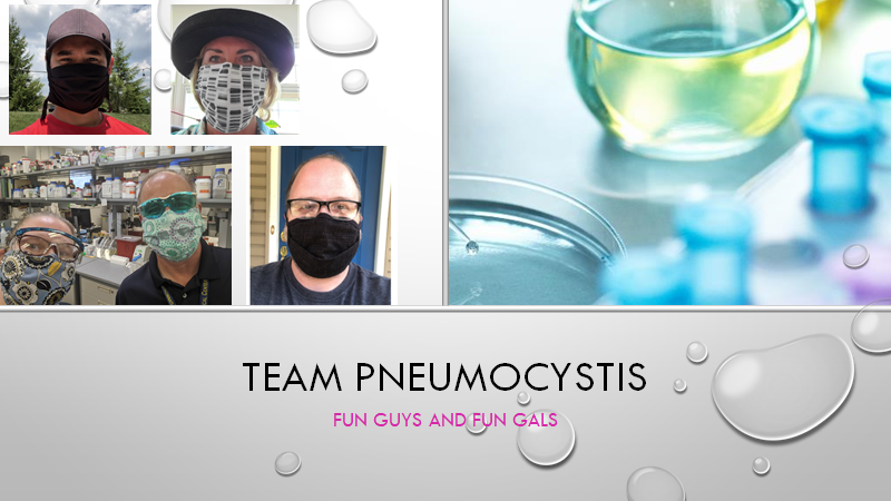 Our lab, Team Pneumocystis, is not afraid to #MaskUp. Now we challenge the labs of <a href="/SusanWaltz_UC/">Susan Waltz_UC</a>, <a href="/kengreis/">ken greis</a>, <a href="/ameetchimote/">Ameet Chimote</a>, and <a href="/ThompsonLab3/">Tom Thompson Lab</a> to play along. Show us your lab members in masks and we will see #WhoWoreItBetter? #passalongthemaskchallenge <a href="/uofcincy/">University of Cincinnati</a> @UC_CoMResearch