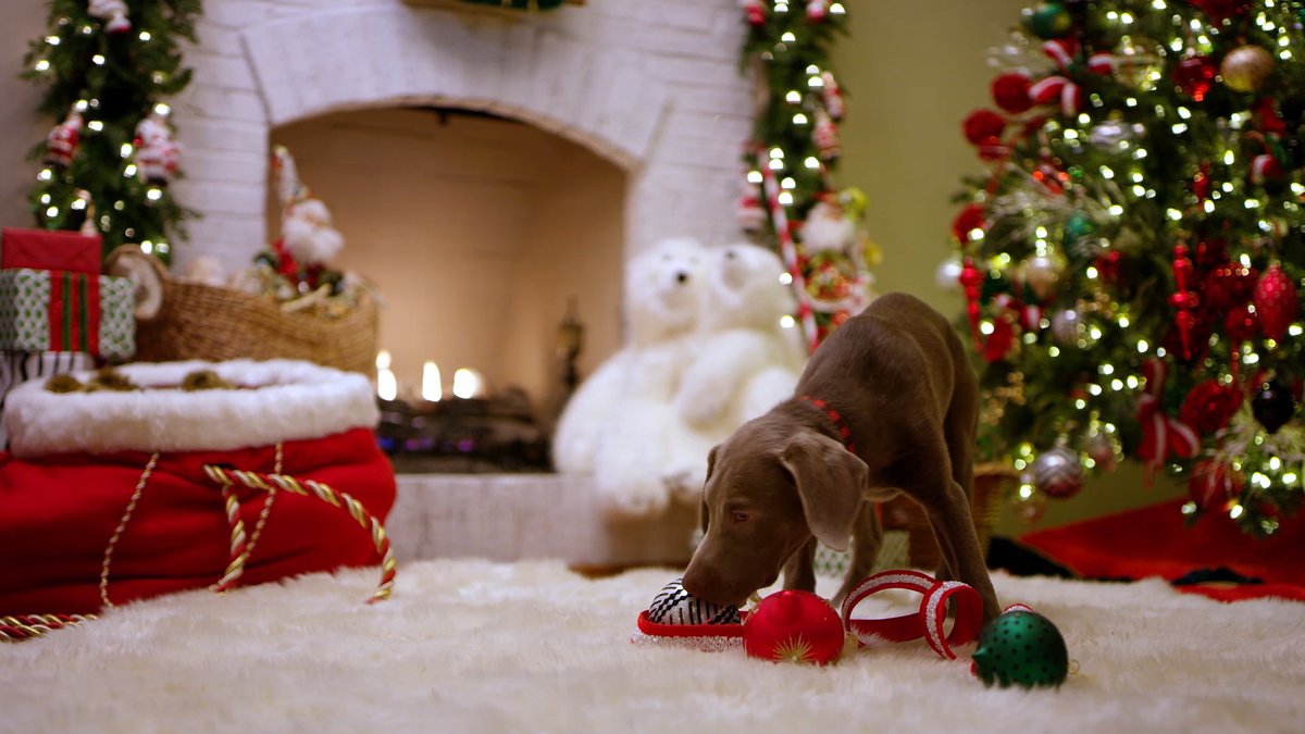 Aligned Media tweet media