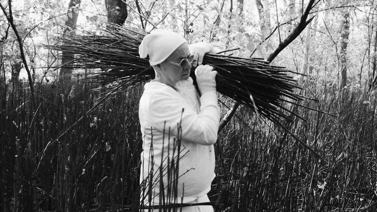 Aligned Media tweet media