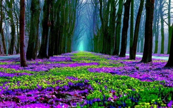 Wonderful view 😍😍