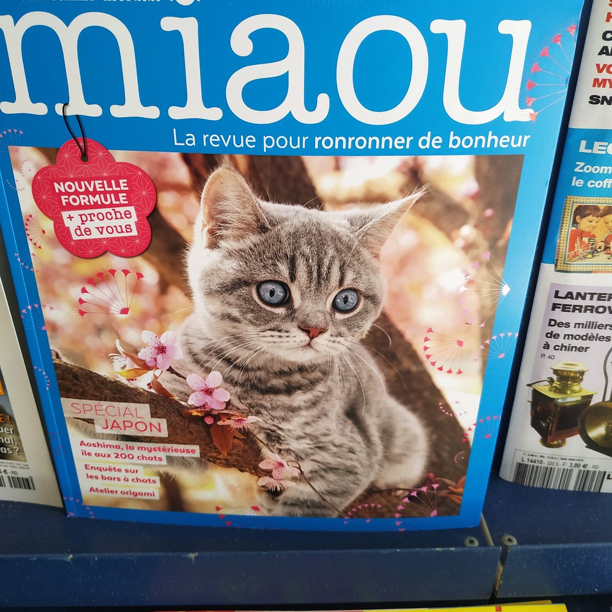 BorisBastide's tweet photo. Tout plaquer et aller bosser à Miaou magazine 🐈 https://t.co/SrgRPuotwd