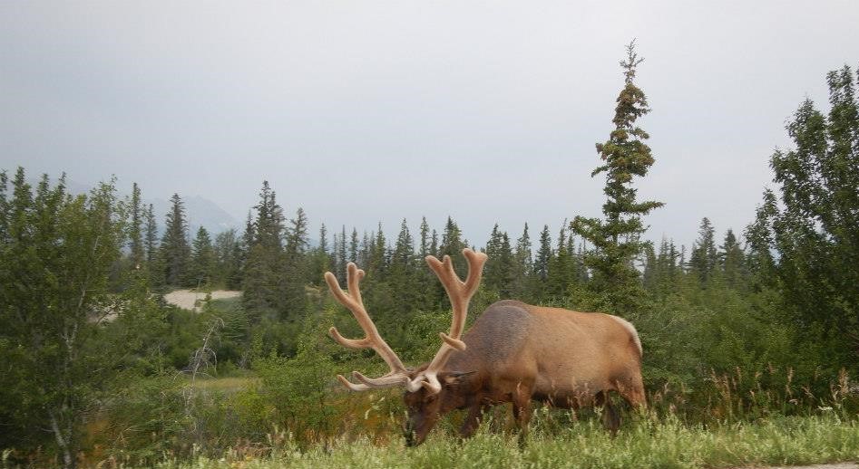 The <a href="/SustainNtwk/">Sustainability Network</a> has some upcoming #webinars and you can even view past presentations > bit.ly/38Hx9ts

Immerse yourself and grow your knowledge of #environmentalpolicy planning and how we need to be rethinking our relationship with wild places and their inhabitants.