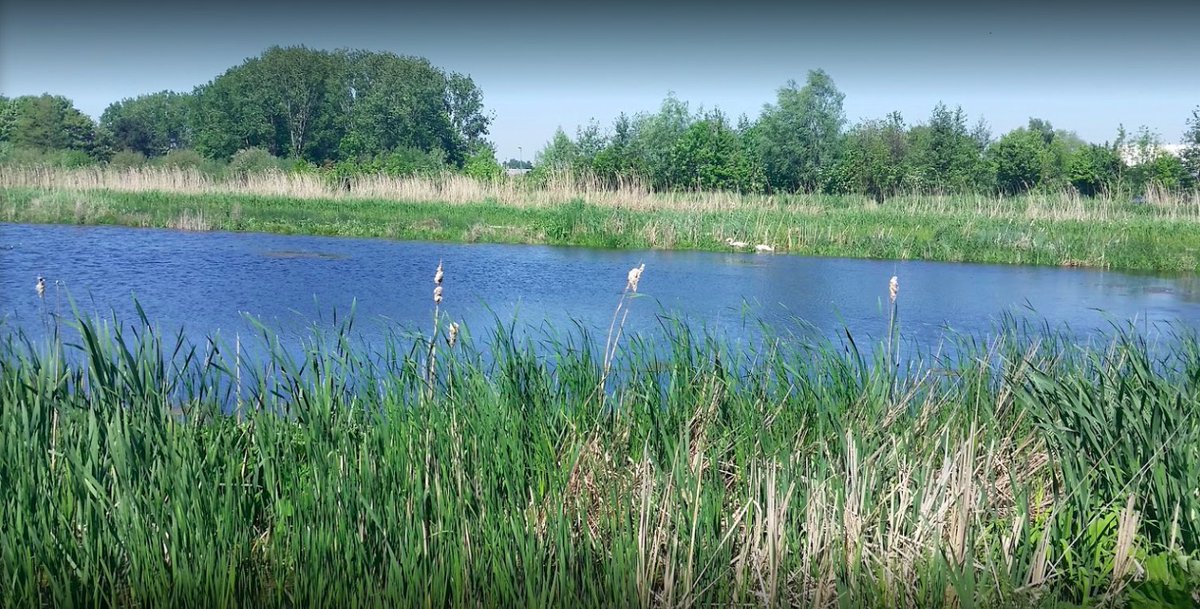 AnaisChartier2's tweet photo. 🌳 Activité nature avec @Cutii_officiel Cutii 🌳
Reprise des #activités #culturelles en extérieur avec notre partenaire Maison de l'Eau, de la Pêche et de la Nature de #Roubaix. Belle découverte ce jour avec la visite des bassins filtrants de #Leers !
#culture #Cutii #liensocial https://t.co/SPUbaAz6Xy