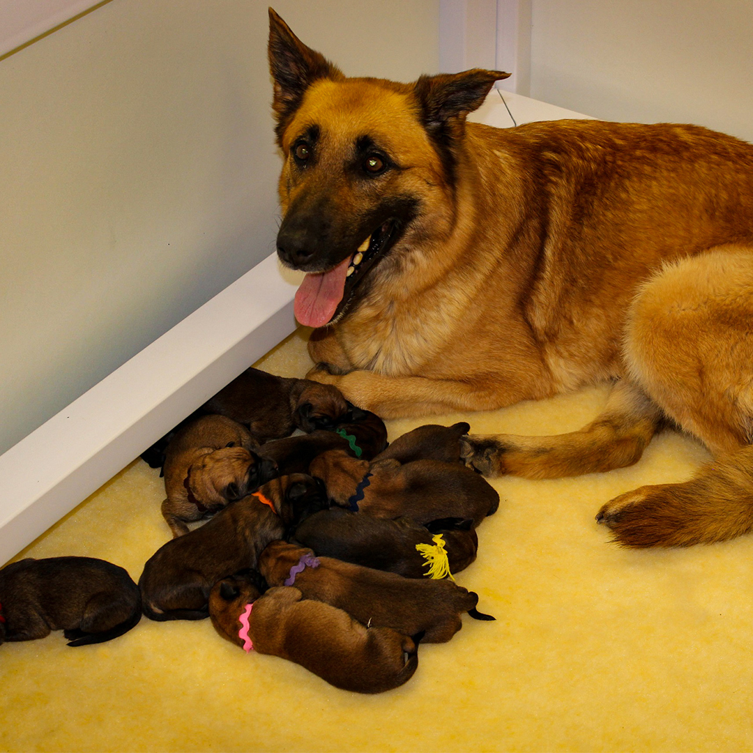 Deputy Chief Patrol Agent Chris Clem tweet media