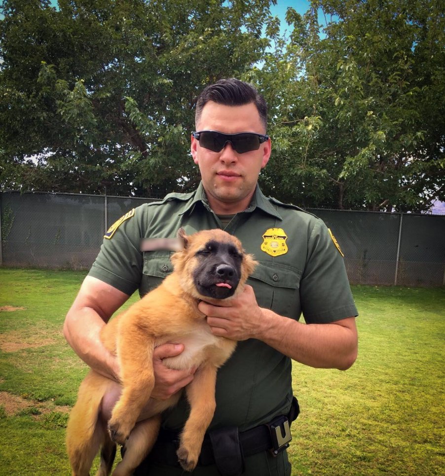 Deputy Chief Patrol Agent Chris Clem tweet media