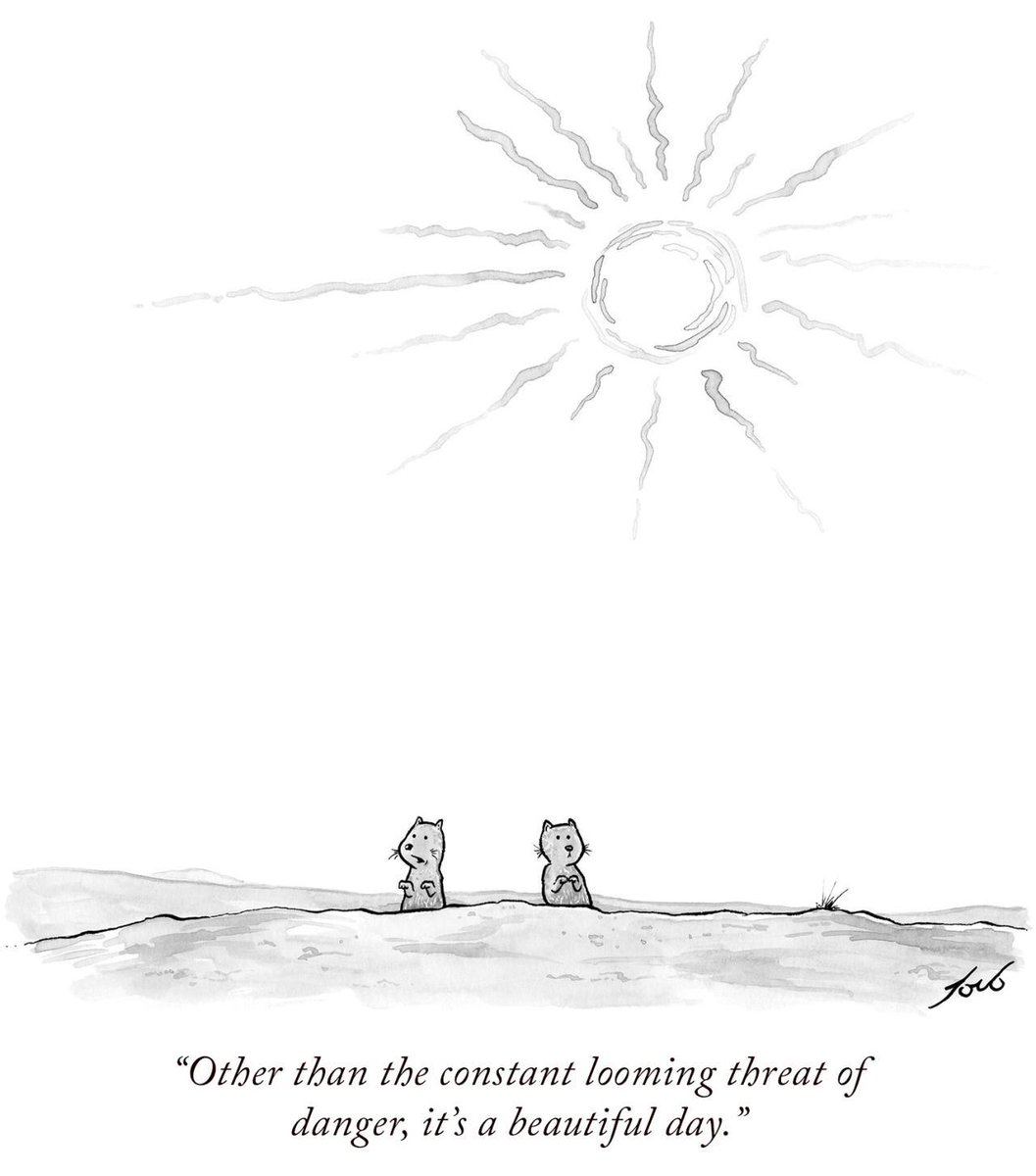 CurtisSChin's tweet photo. Keeping in mind that I am #MrOptimism.  Have a good one, everyone! It’s a beautiful day. 

@helene_wpli @TheRudinGroup @psb_dc @alvinfoo @accatalano  @fayfeeney @OrielMorrison @ValaAfshar @enricomolinari https://t.co/JdBpYcmBGV
