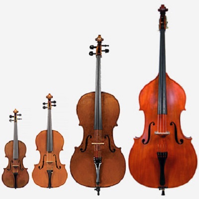 Johnsonstring's tweet image. Wondering which instrument is best for you or wanting to try out a new one? Check out our detailed selection, and we’ll help you make an informed choice. 
johnsonstring.com/catalog/instru…  #stringedinstruments #musiciantips #choosinganinstrument