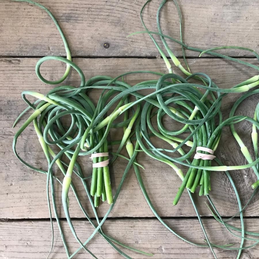 317main's tweet image. Yarmouth Farmers Market Thursday July 9th 3-6pm. Strawberries, Raspberries, Sushi Hand Rolls and fiddle tunes conta.cc/31Z2aaI