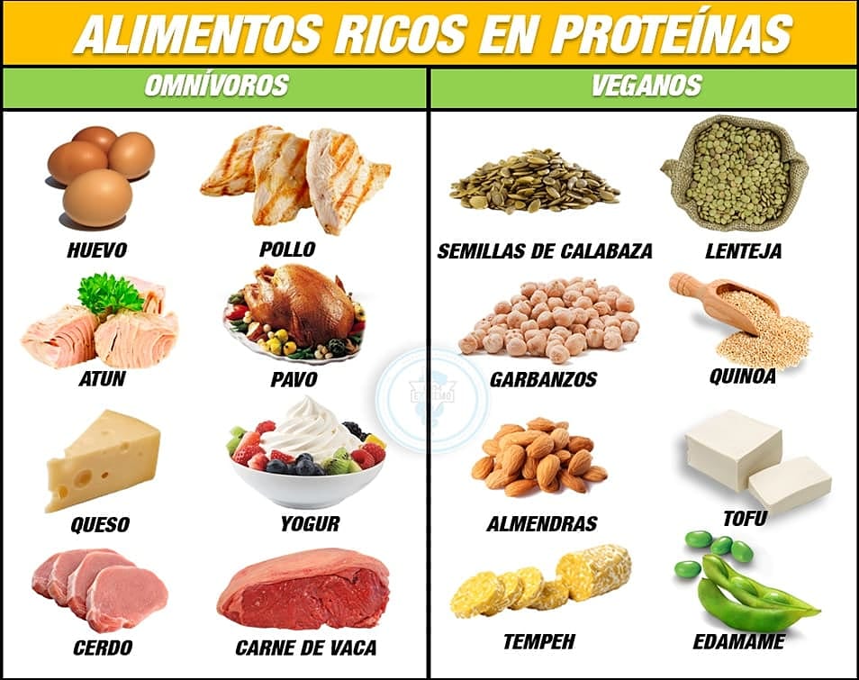 Alimentos ricos en progesterona