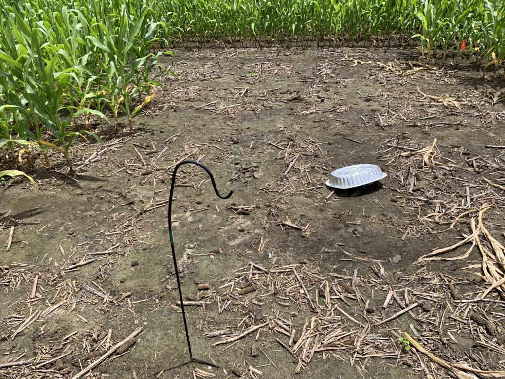 baldpathologist's tweet photo. Evidence of just how super duper, high tech those spore traps are after being “installed” last week. Apparently they don’t like the weather in MS. At some point the wind tossed the casserole dish/spore trap + motor/slides a good 6 feet from the pole #corn #headache #windchallenge https://t.co/n2iS5iLCaM