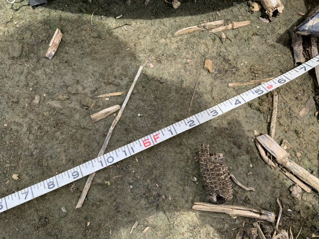 baldpathologist's tweet photo. Evidence of just how super duper, high tech those spore traps are after being “installed” last week. Apparently they don’t like the weather in MS. At some point the wind tossed the casserole dish/spore trap + motor/slides a good 6 feet from the pole #corn #headache #windchallenge https://t.co/n2iS5iLCaM