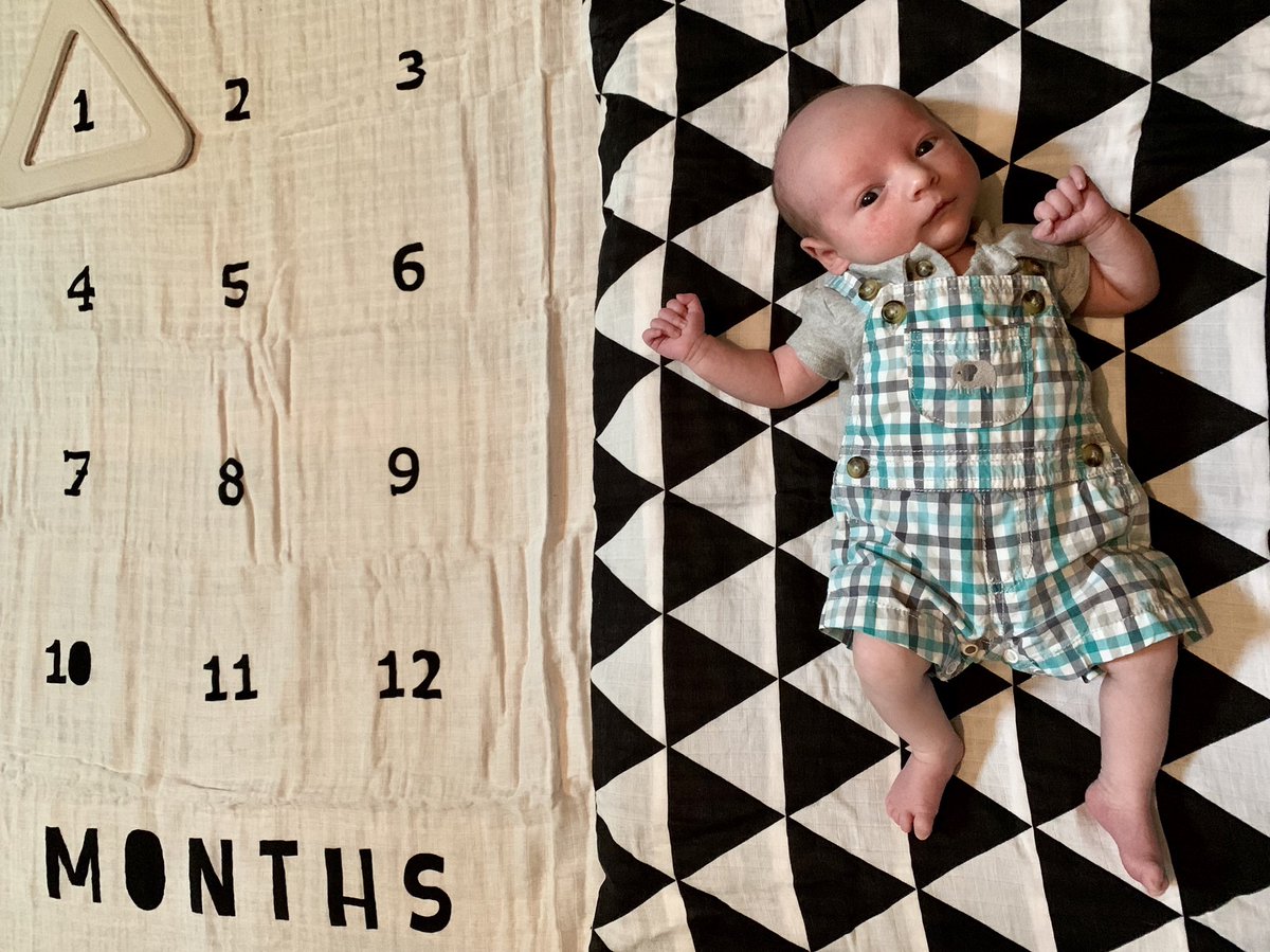 KaitlynMatlock's tweet photo. My baby’s a month old today 😍 https://t.co/vyCGSnEciX