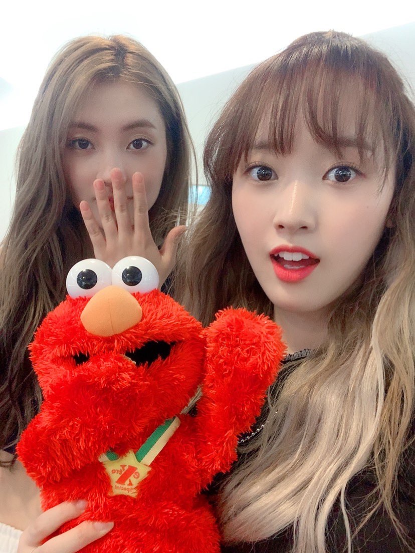 HourlyWeme's tweet photo. lucy &amp; sei ♡ https://t.co/aUh32ZprEt