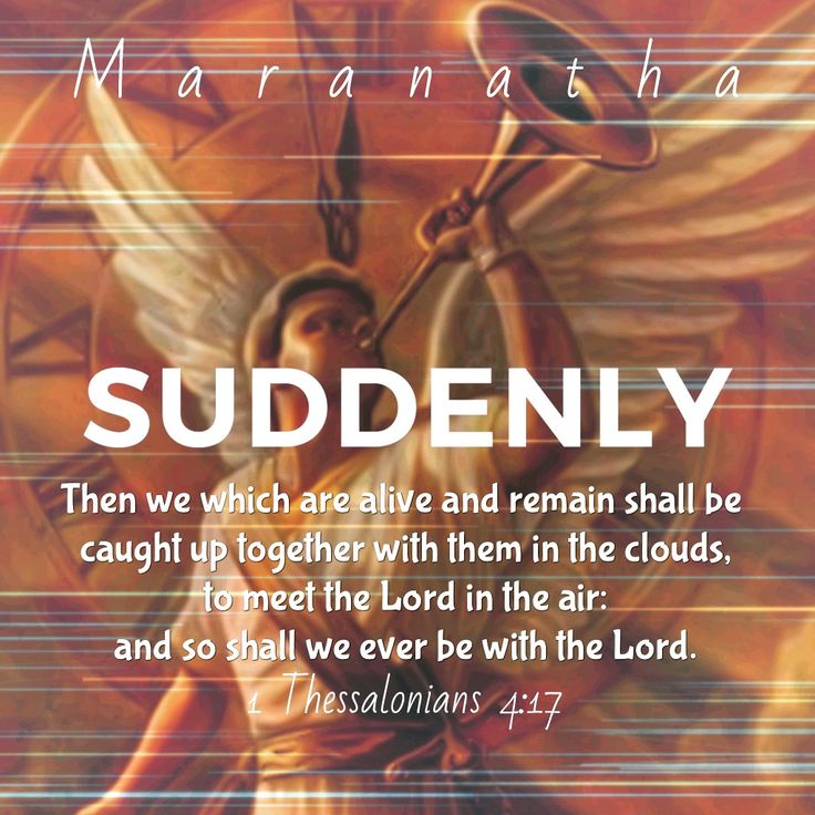 Watchman61088's tweet photo. 1 Corinthians 15:51-52 KJV
51 Behold, I shew you a mystery; We shall not all sleep, but we shall all be changed,

52 In a moment, in the twinkling of an eye, at the last trump: for the trumpet shall sound, and the dead shall be raised incorruptible, and we shall be changed.#Jesus https://t.co/DwlGJjfGEk