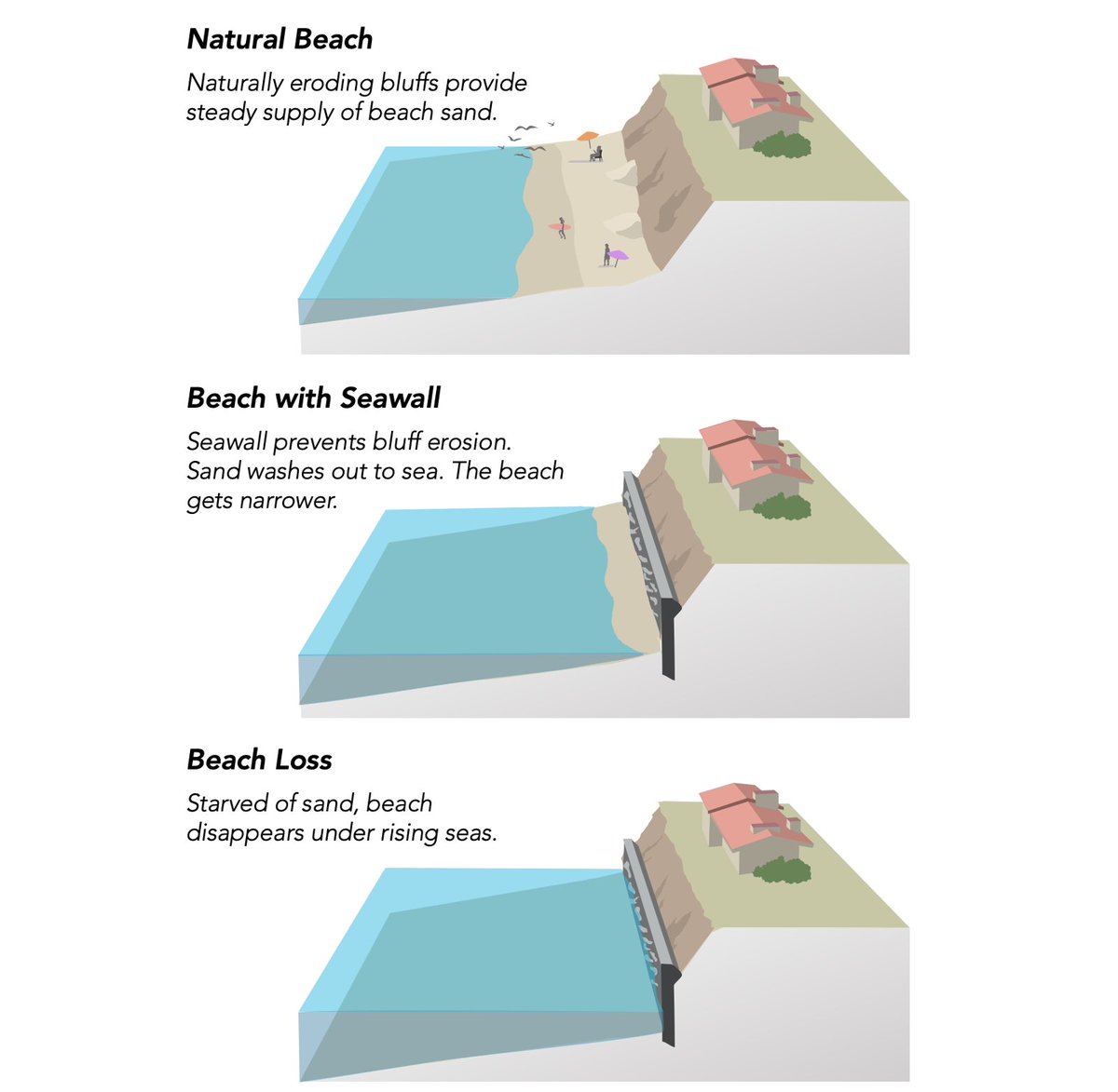 A  @USGS study showed that 2/3 of southern California beaches could be lost to sea level rise by the end of this century. A key ingredient to healthy and stable beaches is an adequate supply of sand, but sea walls and inland dams reduce the amount of available sediment.