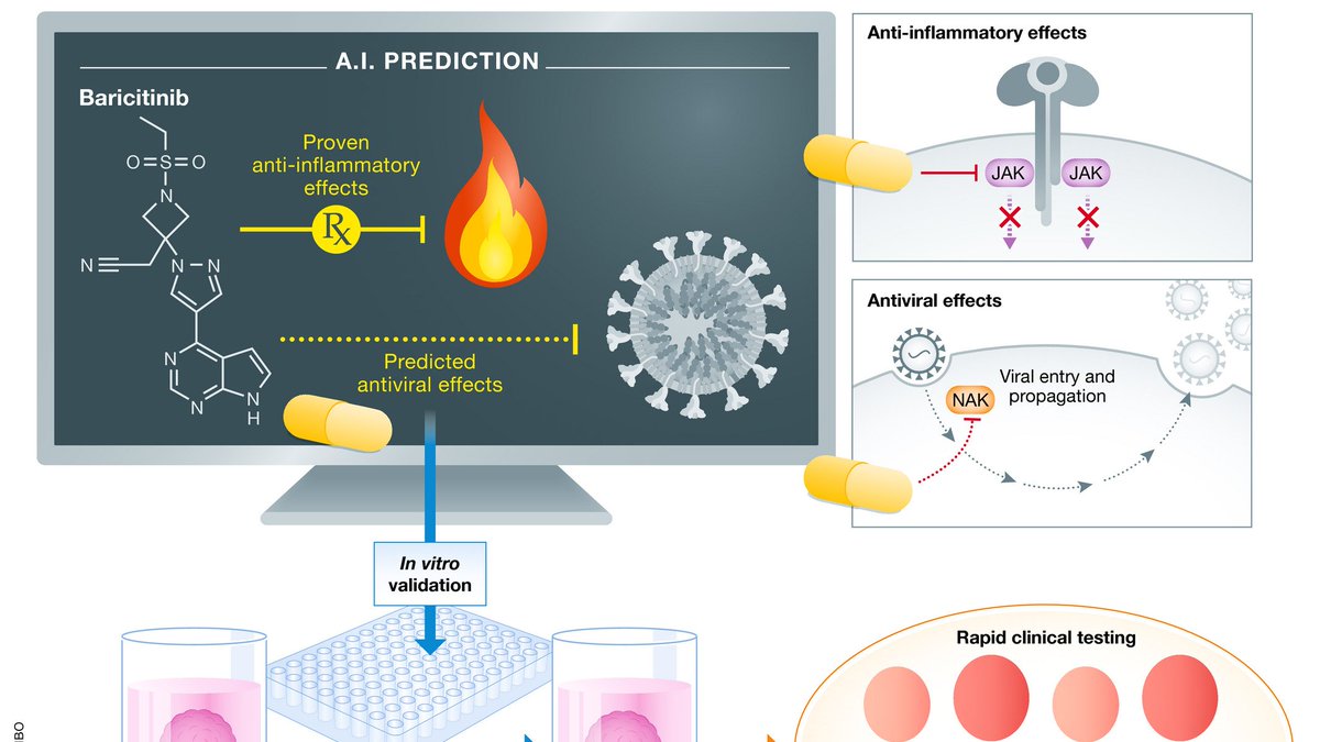 Our paper "Can #Artificialintelligence identify effective #COVID19 therapies?" about Justin Stebbing's team's success in identifying potential #COVID19 drugs that have now entered clinical trials is now out 👉embopress.org/doi/full/10.15… #coronavirus