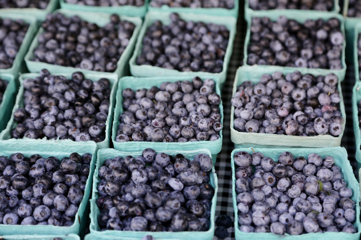 Wildkale tweet media