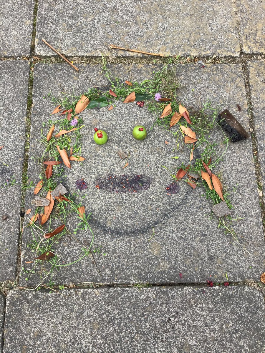 cabevh2's tweet photo. Can you guess who is who out of Miss McCabe’s pod? We used natural resources to make our very own self portraits! 👏🏻🤩 https://t.co/D7DPymBuZ4