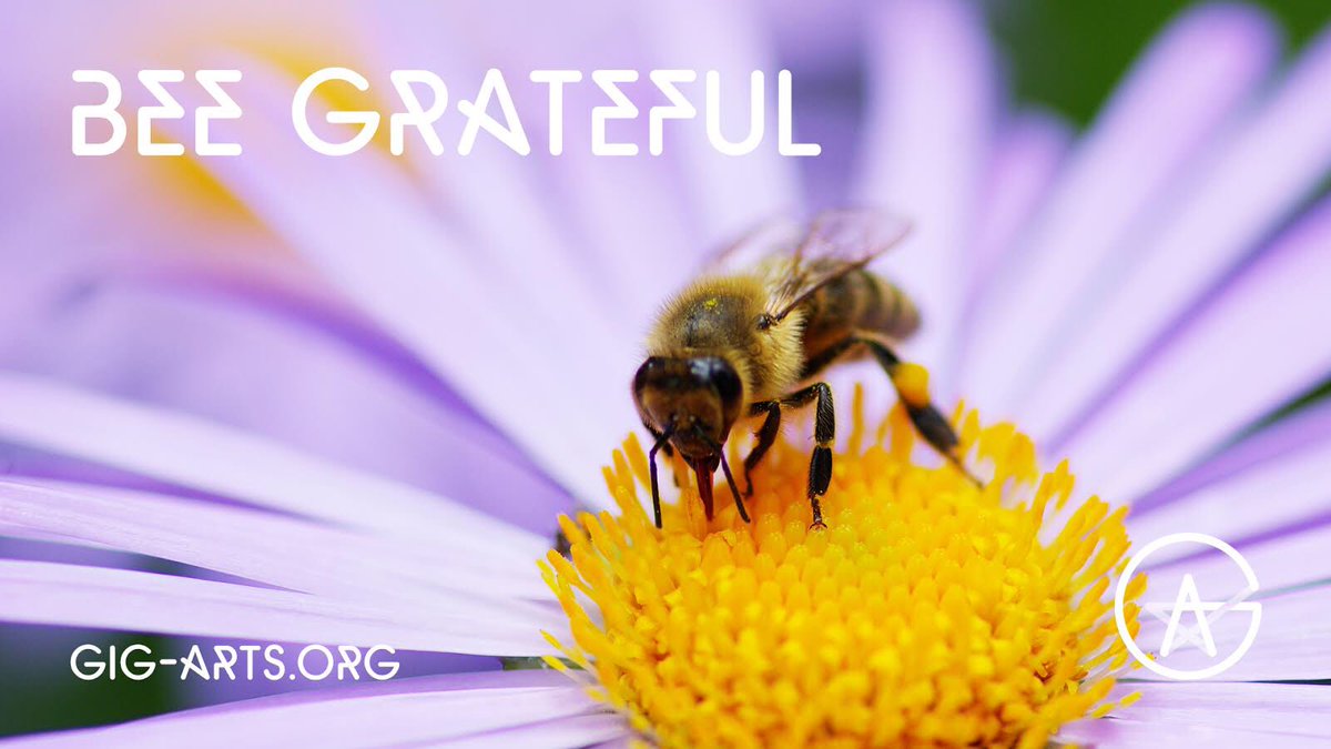 GigArts's tweet photo. Even when it’s raining... there’s so much to be grateful for😌#BeCreative https://t.co/3xGHKT4Cwj