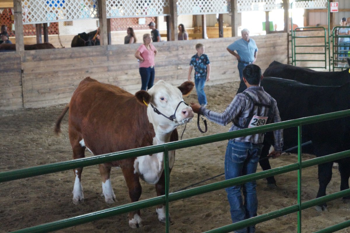 Tri-City Times tweet media