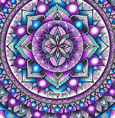 Childwall Academy tweet media