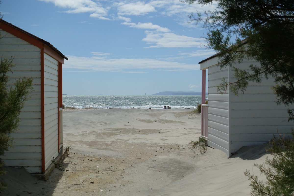 SueGPope's tweet photo. Beauty at the Beach.... West Wittering yesterday ⁦@ExpWestSussex⁩ https://t.co/ipyxgHyhcQ