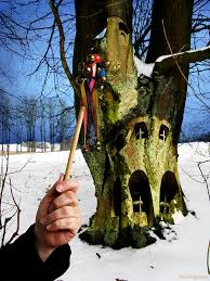 AnimistWay's tweet photo. Time for a new direction - https://t.co/3WqoNV1C9A #animism #paganism #animist #pagan #spirituality https://t.co/pzsrctCvAb