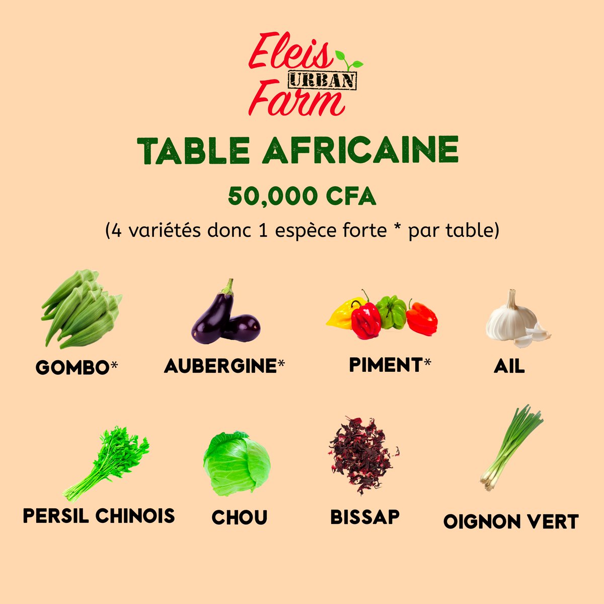 EleisFarm's tweet photo. Composée de légumes utilisés quotidiennement dans la cuisine africaine, elle est l’allié de vos recettes
(4 variétés par table dont 1 espèce forte *)

🌱espèce forte: qui est gourmande qui demande + de nutriments et de soins
#eleisurbanfarm #eleisfarm #garden #potager #jardinage https://t.co/Nvn5LLeEW5
